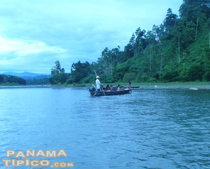 [Existen varios botes que realizan el viaje hacia Alto Pita y otras comunidades aledañas al río.]