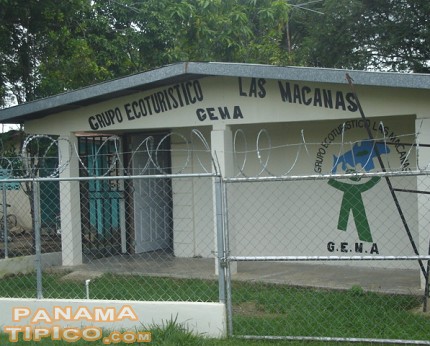 [Una casa sirve como sede para el Grupo Ecoturístico Las Macanas. Allí se puede obtener información sobre la Ciénaga de Las Macanas, que queda cerca del pueblo.]